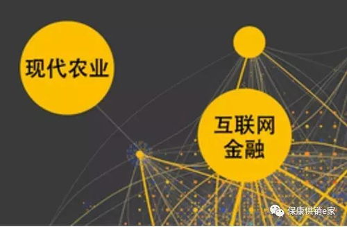 互聯(lián)網(wǎng)+農(nóng)產(chǎn)品業(yè)態(tài) 保康供銷社以“五有”模式助力鄉(xiāng)村振興